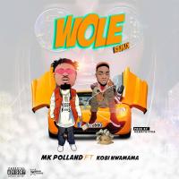 Music: MK Polland ft Kobi Nwamama - Wole